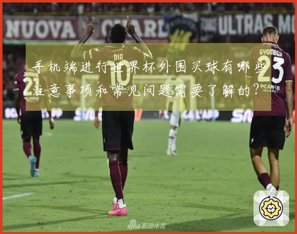 手机端进行世界杯外围买球有哪些注意事项和常见问题需要了解的?