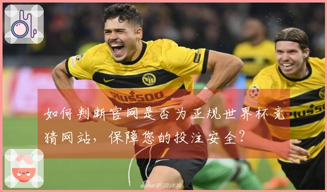 如何判断官网是否为正规世界杯竞猜网站，保障您的投注安全？