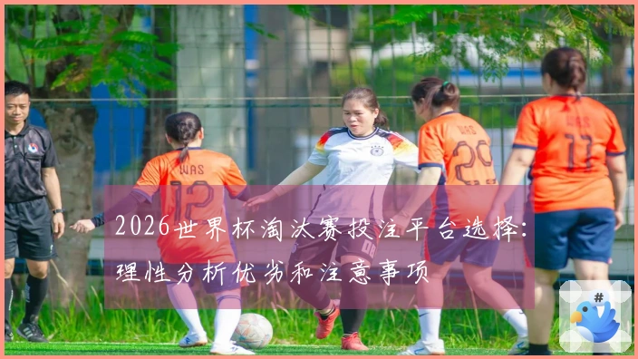2026世界杯淘汰赛投注平台选择：理性分析优劣和注意事项